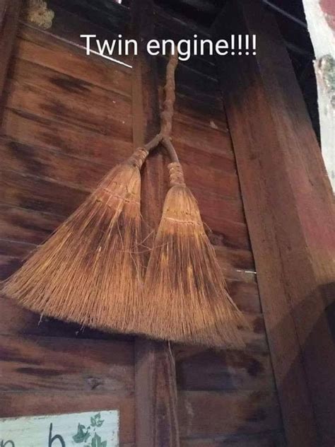Twin witch broom